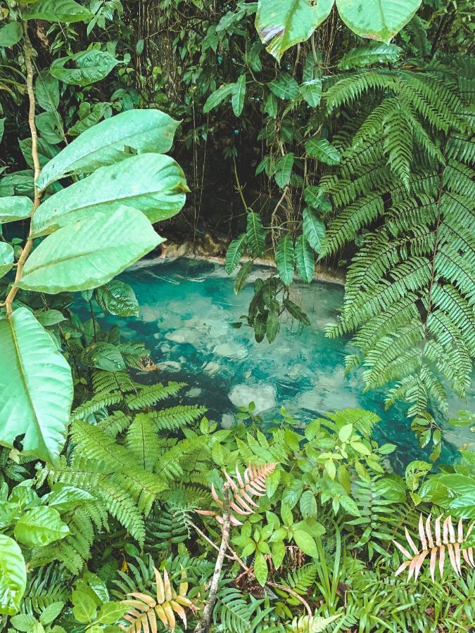 Oski Lodge, Rain Forest Rincon De La Vieja Upala 외부 사진