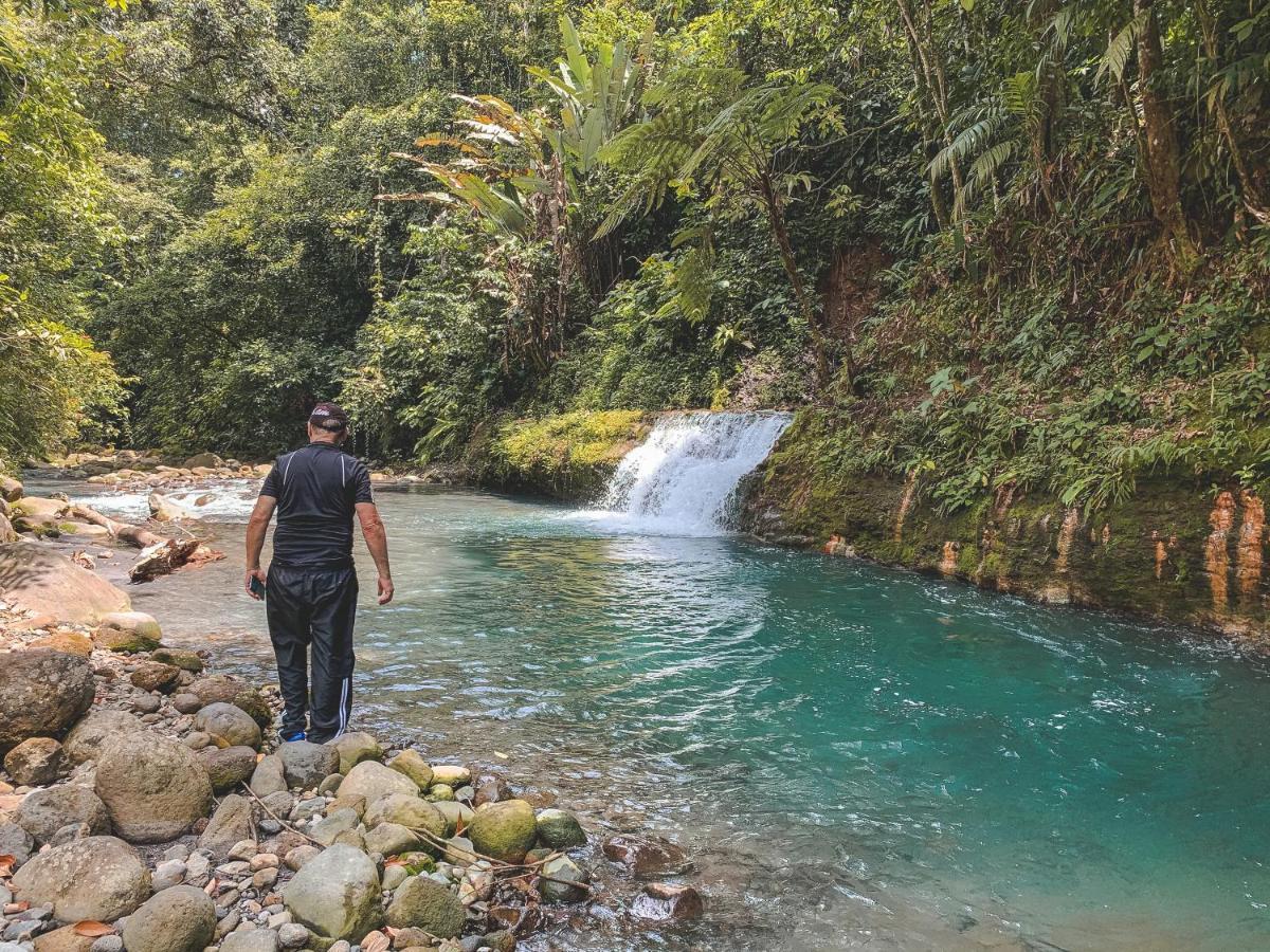 Oski Lodge, Rain Forest Rincon De La Vieja Upala 외부 사진