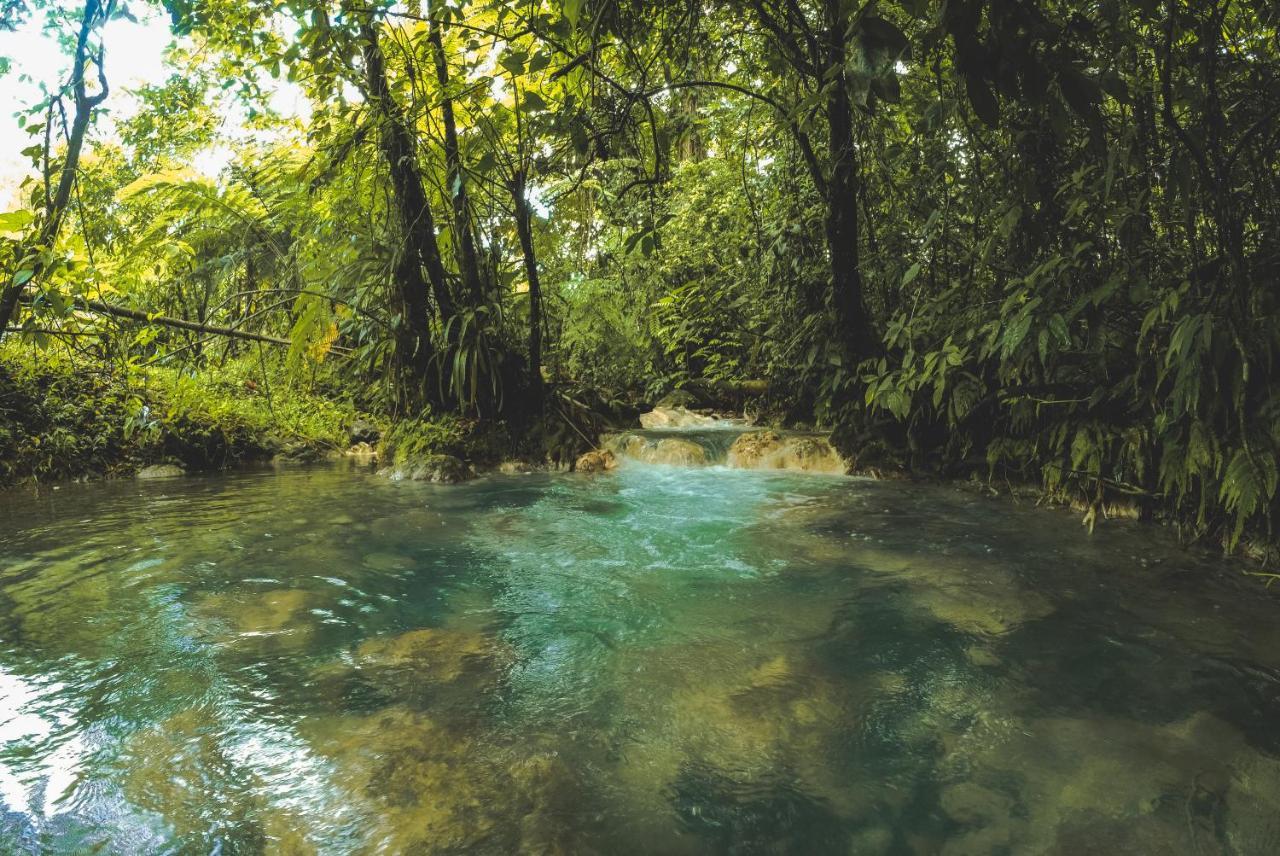 Oski Lodge, Rain Forest Rincon De La Vieja Upala 외부 사진