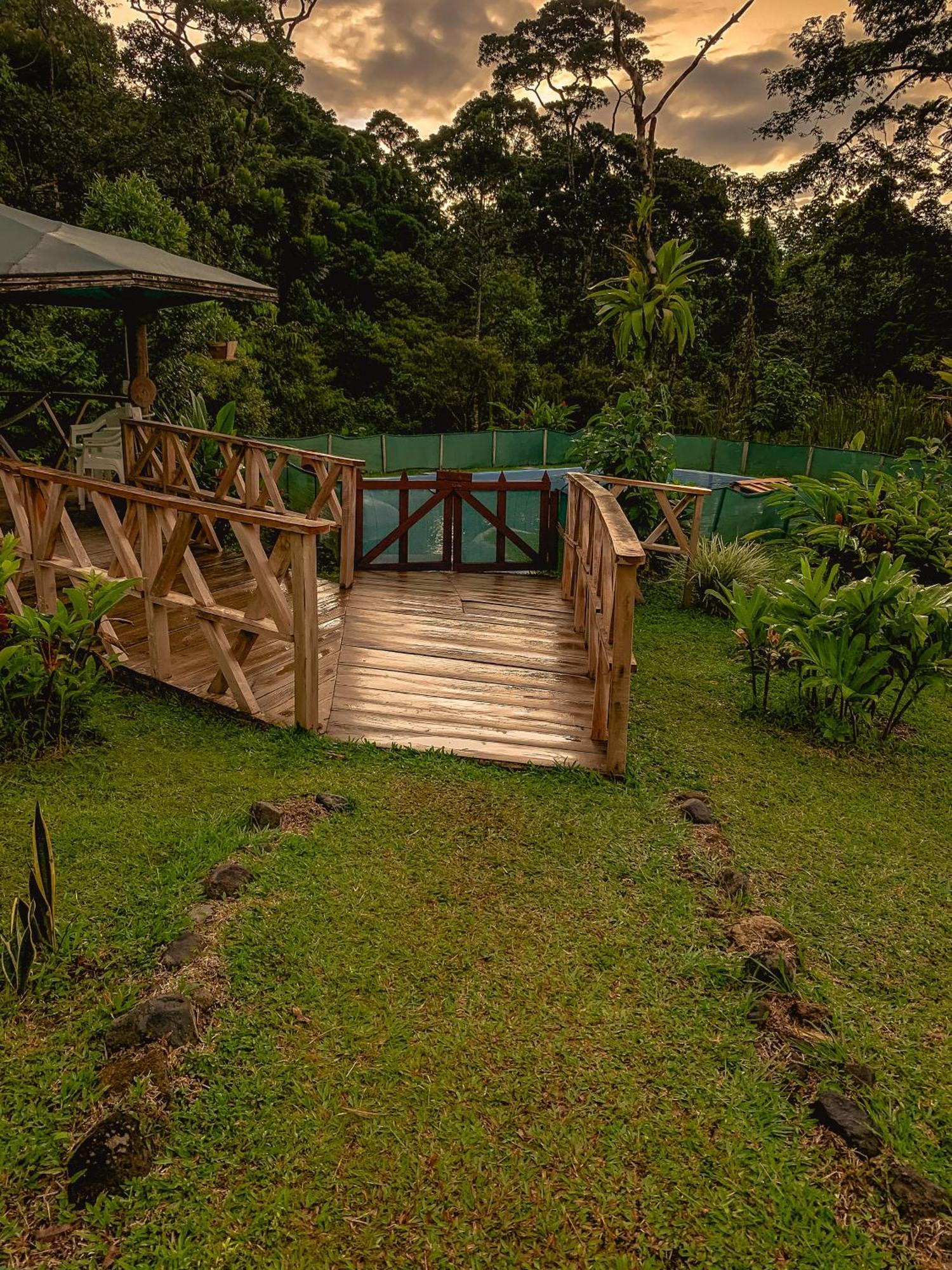 Oski Lodge, Rain Forest Rincon De La Vieja Upala 외부 사진