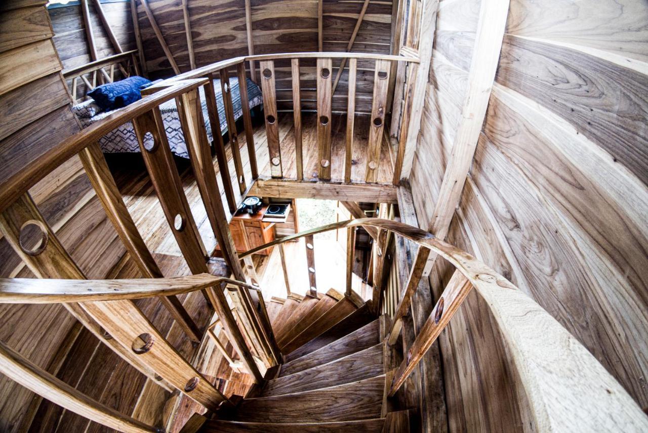 Oski Lodge, Rain Forest Rincon De La Vieja Upala 외부 사진