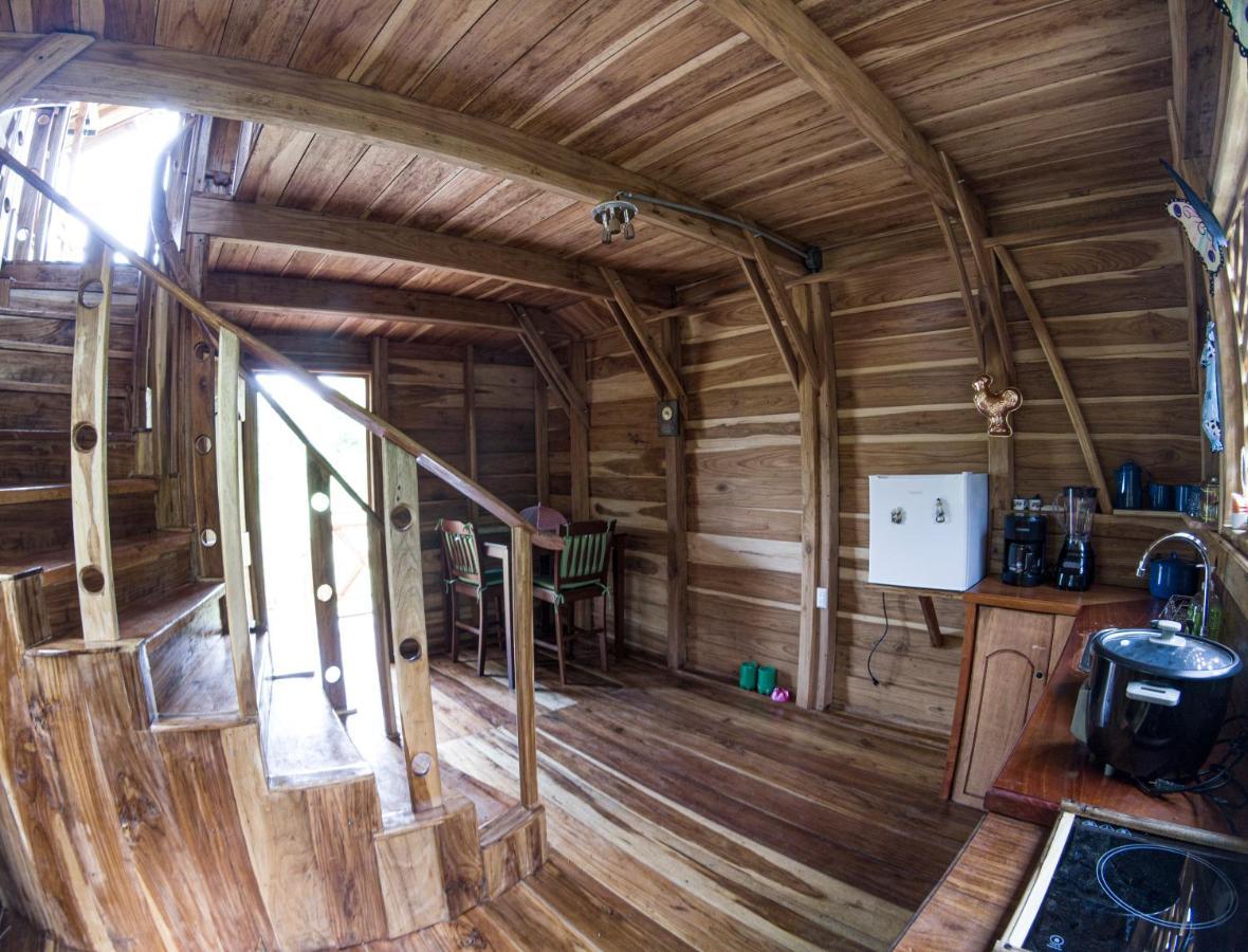 Oski Lodge, Rain Forest Rincon De La Vieja Upala 외부 사진