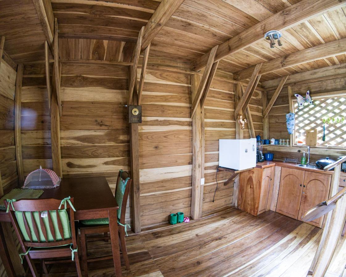 Oski Lodge, Rain Forest Rincon De La Vieja Upala 외부 사진