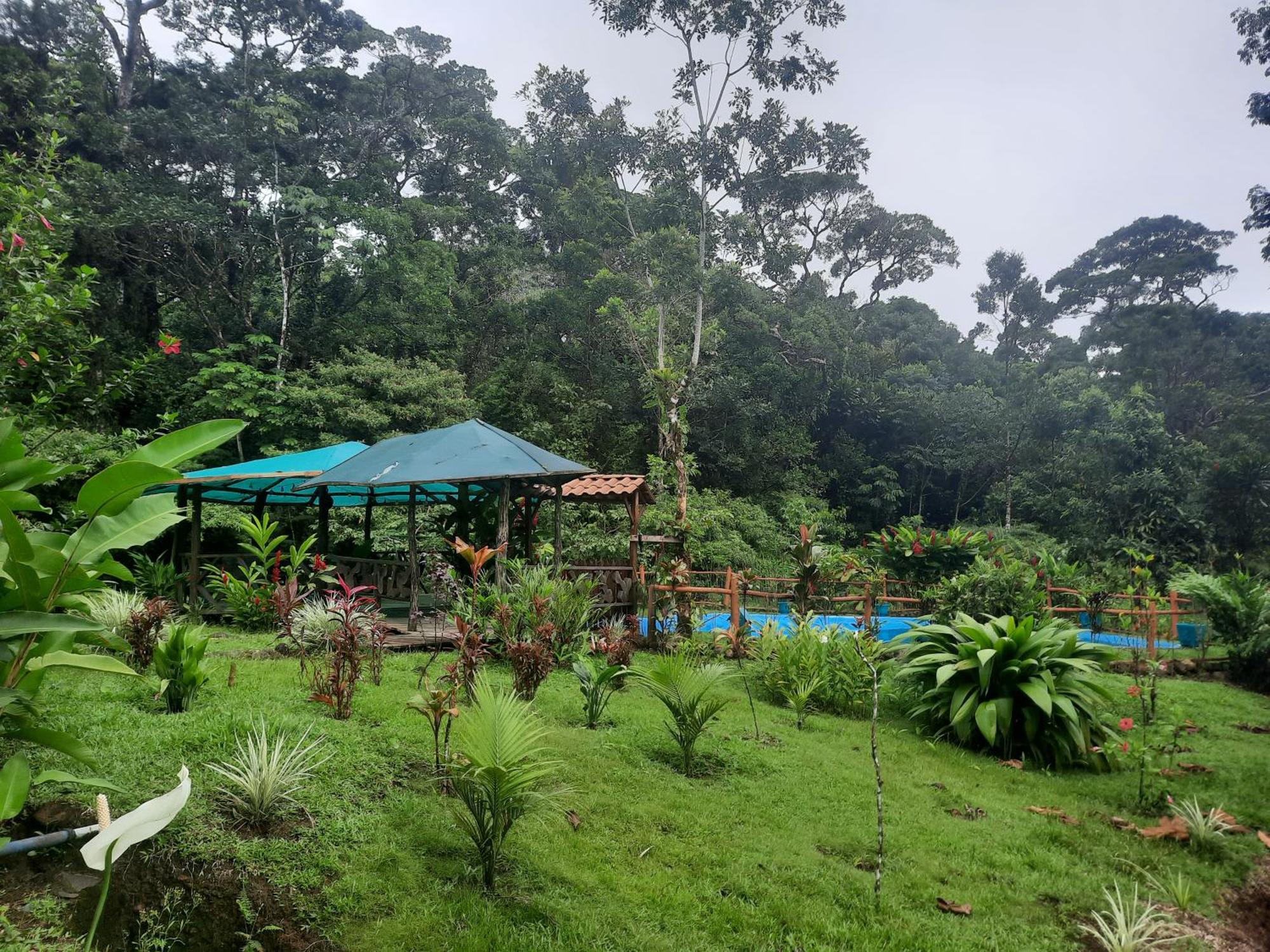 Oski Lodge, Rain Forest Rincon De La Vieja Upala 외부 사진