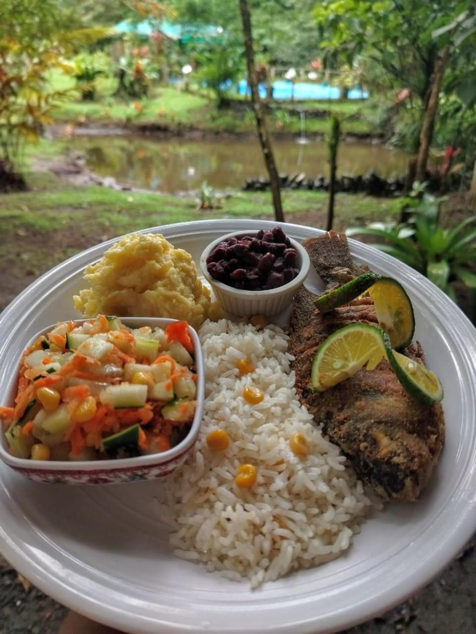 Oski Lodge, Rain Forest Rincon De La Vieja Upala 외부 사진