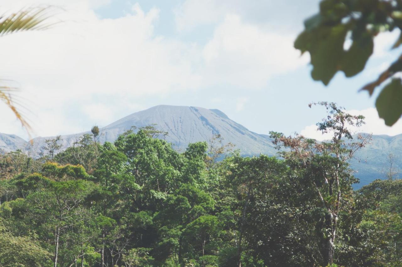 Oski Lodge, Rain Forest Rincon De La Vieja Upala 외부 사진